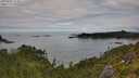 ./images/calvert/foggy-cove/20250807/foggy-cove20250807_112011M.jpg