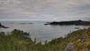 ./images/calvert/foggy-cove/20250807/foggy-cove20250807_112507M.jpg