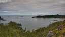 ./images/calvert/foggy-cove/20250807/foggy-cove20250807_115009M.jpg