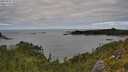 ./images/calvert/foggy-cove/20250807/foggy-cove20250807_131509M.jpg