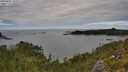 ./images/calvert/foggy-cove/20250807/foggy-cove20250807_132009M.jpg