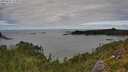 ./images/calvert/foggy-cove/20250807/foggy-cove20250807_133010M.jpg