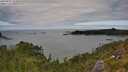 ./images/calvert/foggy-cove/20250807/foggy-cove20250807_134010M.jpg