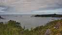 ./images/calvert/foggy-cove/20250807/foggy-cove20250807_135011M.jpg