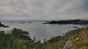 ./images/calvert/foggy-cove/20250807/foggy-cove20250807_174010M.jpg