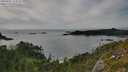 ./images/calvert/foggy-cove/20250807/foggy-cove20250807_174508M.jpg