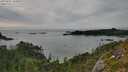./images/calvert/foggy-cove/20250807/foggy-cove20250807_181010M.jpg