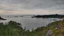 ./images/calvert/foggy-cove/20250807/foggy-cove20250807_184011M.jpg