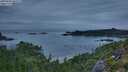 ./images/calvert/foggy-cove/20250808/foggy-cove20250808_060510M.jpg