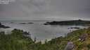 ./images/calvert/foggy-cove/20250808/foggy-cove20250808_084510M.jpg
