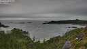 ./images/calvert/foggy-cove/20250808/foggy-cove20250808_092507M.jpg