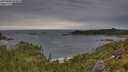 ./images/calvert/foggy-cove/20250808/foggy-cove20250808_094010M.jpg
