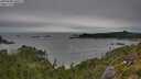 ./images/calvert/foggy-cove/20250808/foggy-cove20250808_100509M.jpg