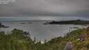 ./images/calvert/foggy-cove/20250808/foggy-cove20250808_102011M.jpg