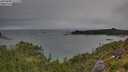 ./images/calvert/foggy-cove/20250808/foggy-cove20250808_121510M.jpg