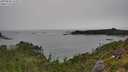 ./images/calvert/foggy-cove/20250808/foggy-cove20250808_125509M.jpg