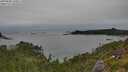 ./images/calvert/foggy-cove/20250808/foggy-cove20250808_140011M.jpg