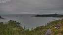 ./images/calvert/foggy-cove/20250808/foggy-cove20250808_142010M.jpg