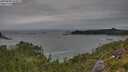 ./images/calvert/foggy-cove/20250808/foggy-cove20250808_144011M.jpg