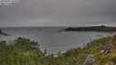 ./images/calvert/foggy-cove/20250808/foggy-cove20250808_151011M.jpg