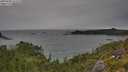 ./images/calvert/foggy-cove/20250808/foggy-cove20250808_151510M.jpg