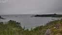 ./images/calvert/foggy-cove/20250808/foggy-cove20250808_152010M.jpg