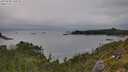 ./images/calvert/foggy-cove/20250808/foggy-cove20250808_160510M.jpg