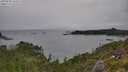 ./images/calvert/foggy-cove/20250808/foggy-cove20250808_162509M.jpg