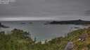 ./images/calvert/foggy-cove/20250808/foggy-cove20250808_181510M.jpg