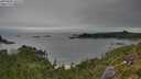 ./images/calvert/foggy-cove/20250808/foggy-cove20250808_182510M.jpg