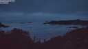 ./images/calvert/foggy-cove/20250809/foggy-cove20250809_053009M.jpg