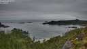 ./images/calvert/foggy-cove/20250809/foggy-cove20250809_061509M.jpg