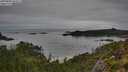 ./images/calvert/foggy-cove/20250809/foggy-cove20250809_062011M.jpg