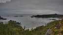 ./images/calvert/foggy-cove/20250809/foggy-cove20250809_062507M.jpg