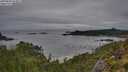 ./images/calvert/foggy-cove/20250809/foggy-cove20250809_064009M.jpg