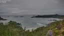 ./images/calvert/foggy-cove/20250809/foggy-cove20250809_065510M.jpg