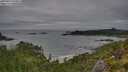 ./images/calvert/foggy-cove/20250809/foggy-cove20250809_070009M.jpg