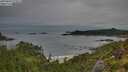 ./images/calvert/foggy-cove/20250809/foggy-cove20250809_073008M.jpg
