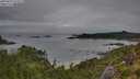 ./images/calvert/foggy-cove/20250809/foggy-cove20250809_073509M.jpg