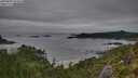 ./images/calvert/foggy-cove/20250809/foggy-cove20250809_074010M.jpg