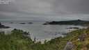 ./images/calvert/foggy-cove/20250809/foggy-cove20250809_074508M.jpg