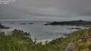 ./images/calvert/foggy-cove/20250809/foggy-cove20250809_075011M.jpg