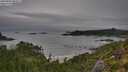 ./images/calvert/foggy-cove/20250809/foggy-cove20250809_080011M.jpg