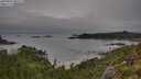 ./images/calvert/foggy-cove/20250809/foggy-cove20250809_080509M.jpg