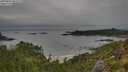 ./images/calvert/foggy-cove/20250809/foggy-cove20250809_081009M.jpg