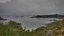 ./images/calvert/foggy-cove/20250809/foggy-cove20250809_081511M.jpg