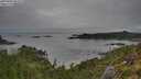 ./images/calvert/foggy-cove/20250809/foggy-cove20250809_082010M.jpg
