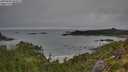 ./images/calvert/foggy-cove/20250809/foggy-cove20250809_083011M.jpg