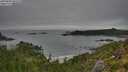 ./images/calvert/foggy-cove/20250809/foggy-cove20250809_083510M.jpg