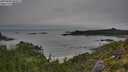./images/calvert/foggy-cove/20250809/foggy-cove20250809_084008M.jpg
